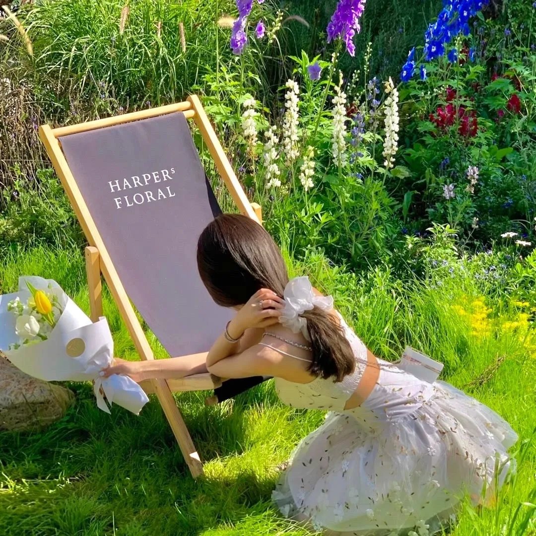 肥猫寻亲记之明天会更好国语