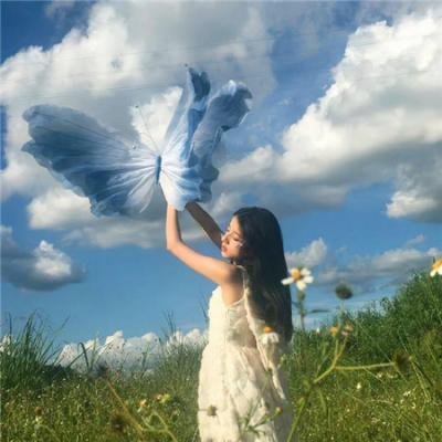 我懵了老板们咋又菜又爱装